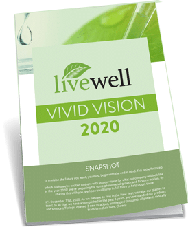Vivid Vision Livewell Book