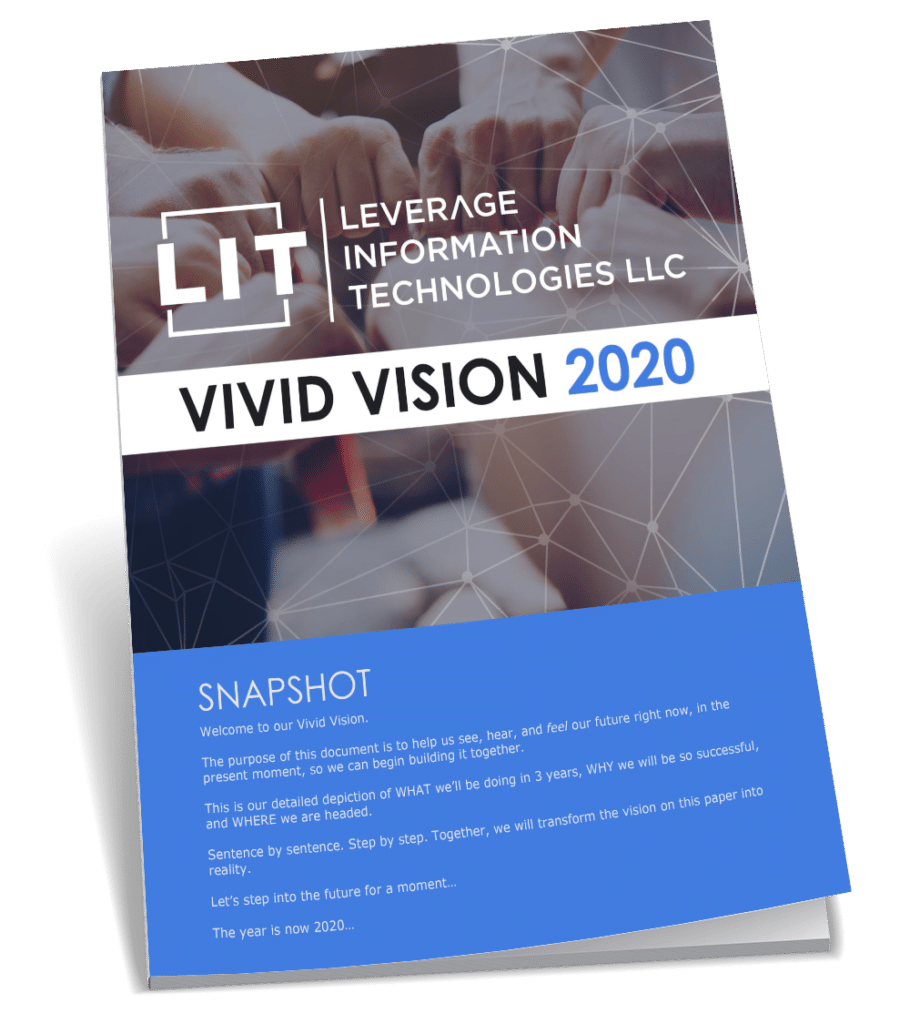 Vivid Vision Leverage Information Technologies