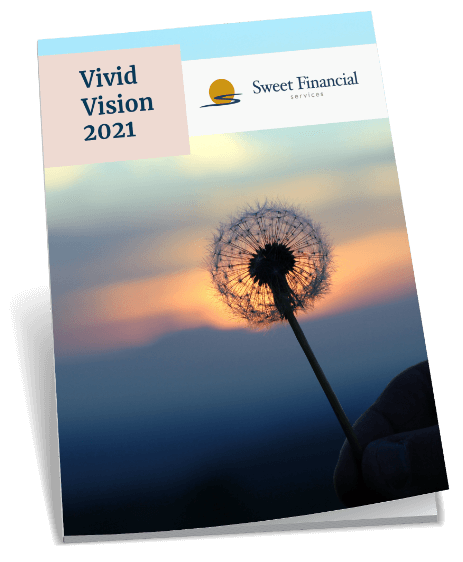 Vivid Vision Book