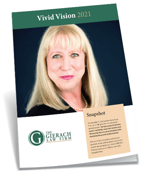 Vivid Vision Book